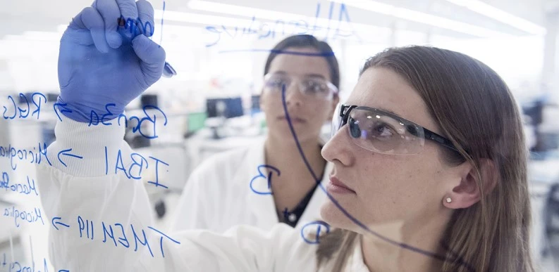 Scientists mark up their work on whiteboard Scientists mark up their work on whiteboard