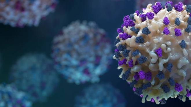 T-cell with active receptors
